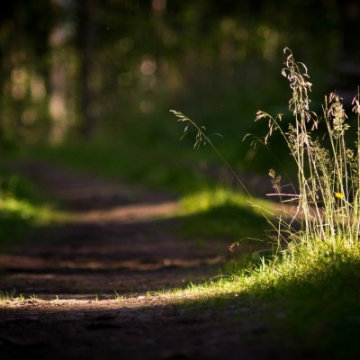 1920 x 1080 HD Wallpapers 2403